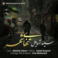 Saeed Asayesh – Tanhaye Shahr