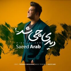 Saeed Arab – Didi Chi Shod