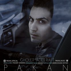 دانلود آهنگ پاکان پناهی تو که نیستی