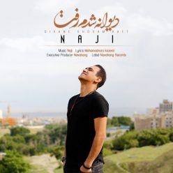 Naji – Divane Shodam Raft